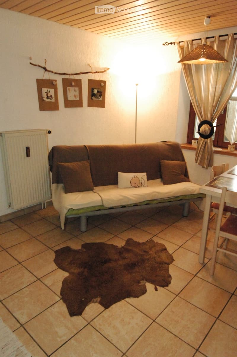 Studio à louer à la campagne (5)