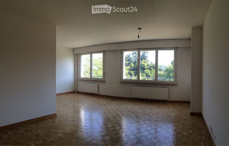 Beautiful 3-room apartment in Grand-Saconnex (4)