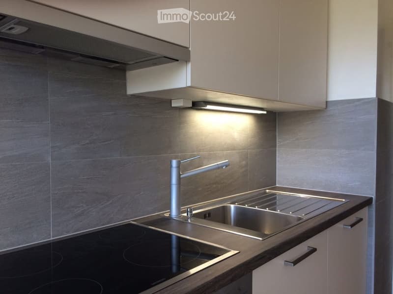 Beautiful 3-room apartment in Grand-Saconnex (2)