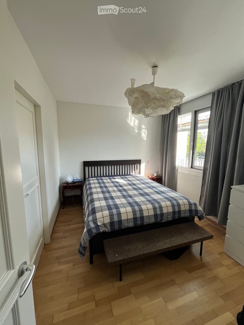 Apartment 3 pieces 1 bed for sublease in Vesenaz (4)