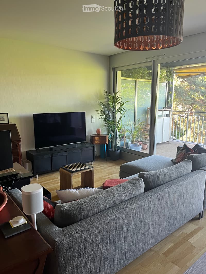 Apartment 3 pieces 1 bed for sublease in Vesenaz (3)