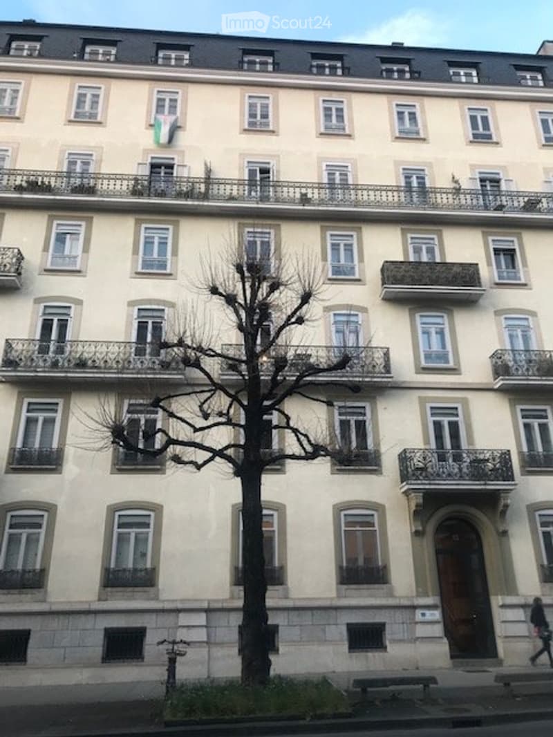 APPARTAMENTO IN AFFITTO GENEVE PLAINPALAIS (1)