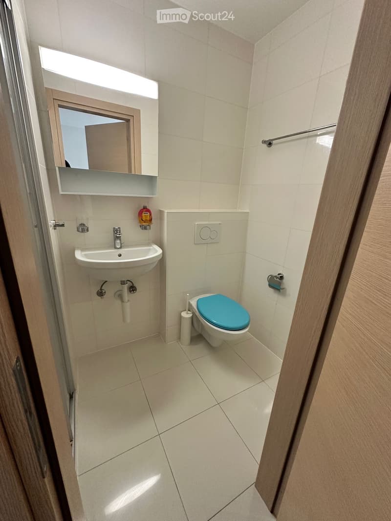 Spacious studio 1.5 rooms, with terrace, 5 minutes from EPFL/UNIL (2)