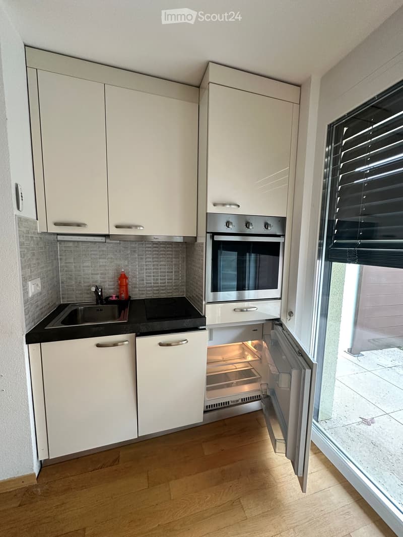 Spacious studio 1.5 rooms, with terrace, 5 minutes from EPFL/UNIL (4)