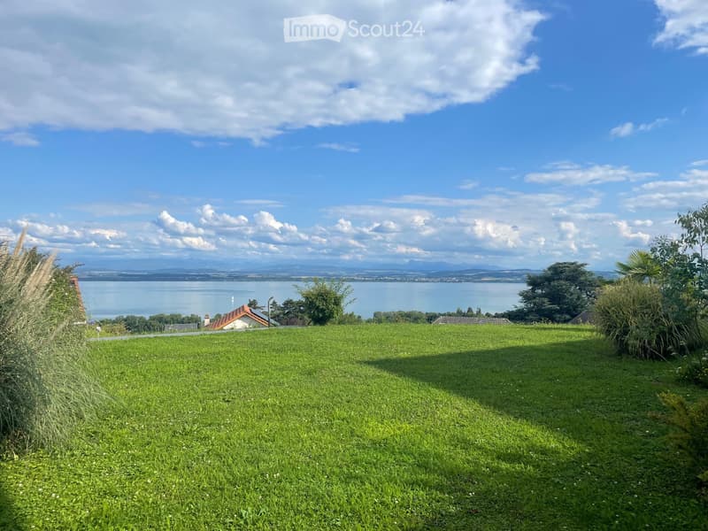 Meraviglioso appartamento di 4,5 locali, superba vista sul lago (1)