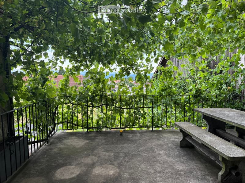 Charmanter Apartment (3)