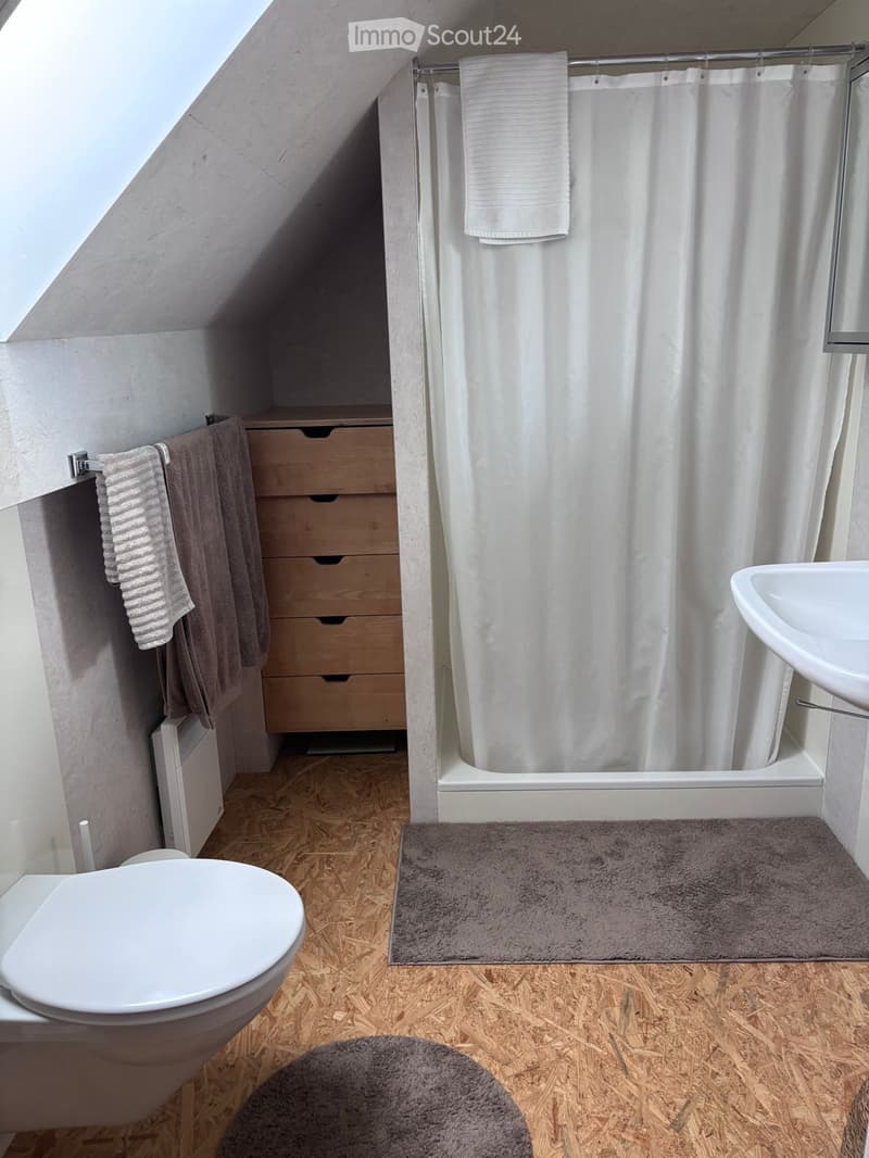 Charmanter Apartment (4)