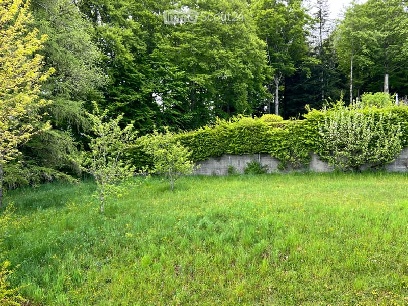 Appartamento in una villa (3)