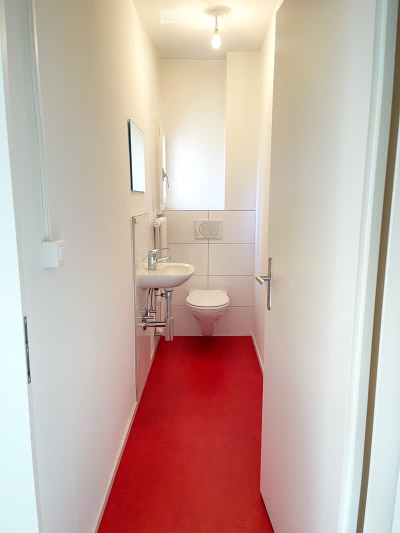 Appartamento 1,5 locali (3)