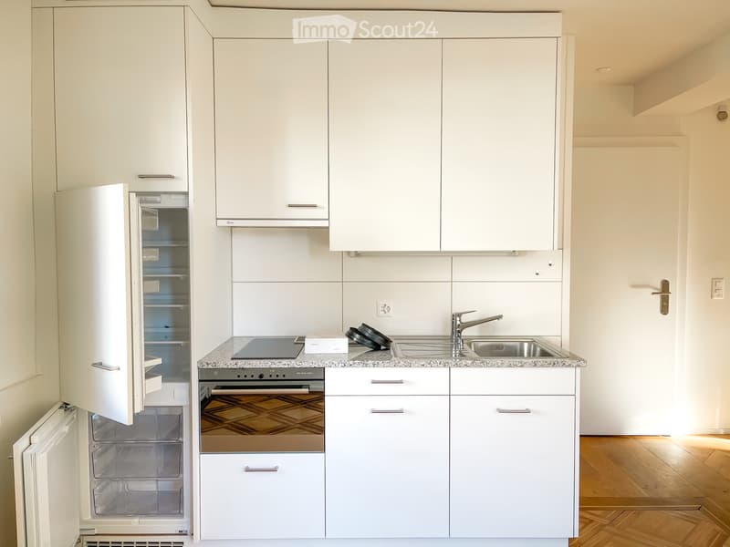 Appartamento 1,5 locali (2)