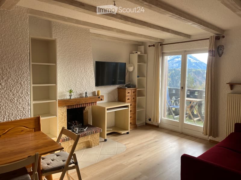 Beau studio avec belle vue (3)