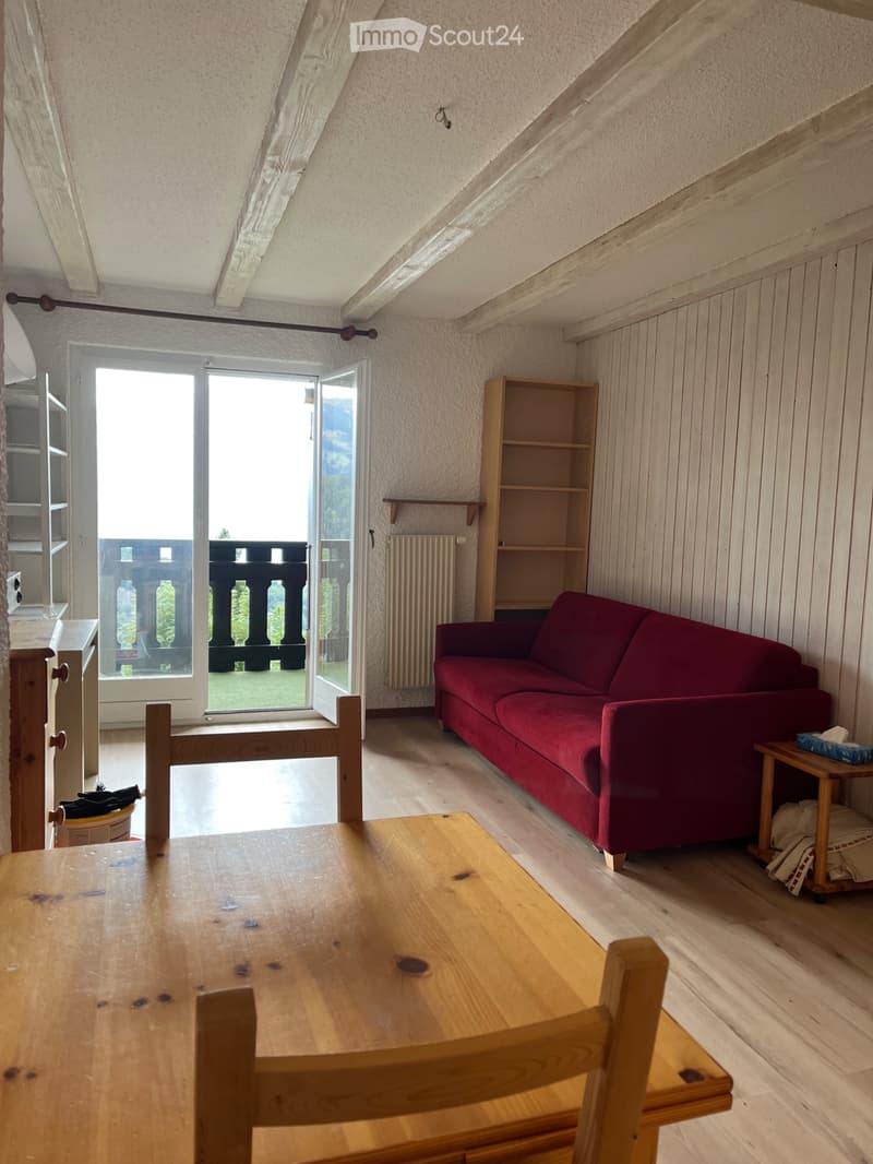 Beau studio avec belle vue (4)