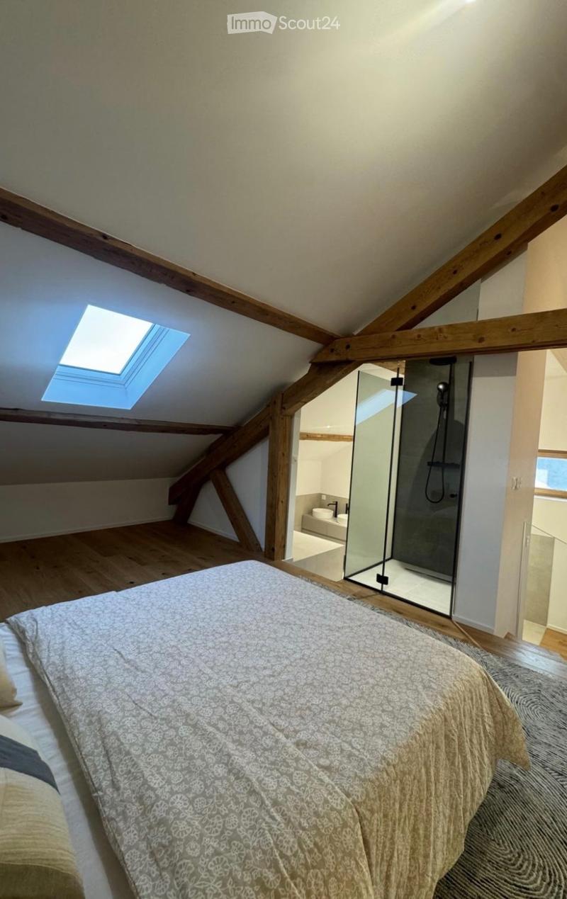 Appartement triplex haut standing totalement rénove (6)