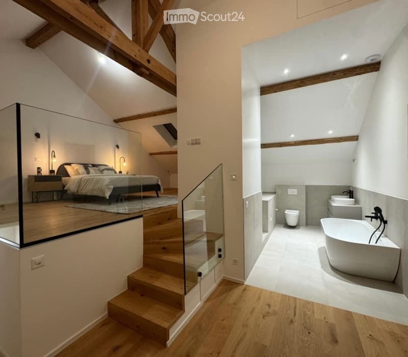 Appartement triplex haut standing totalement rénove (1)