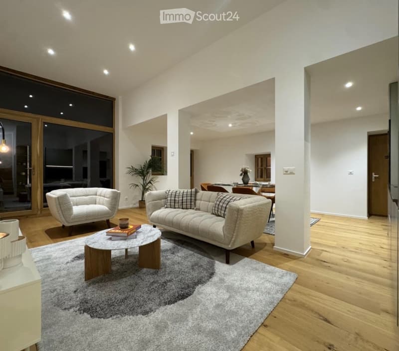 Appartement triplex haut standing totalement rénove (3)