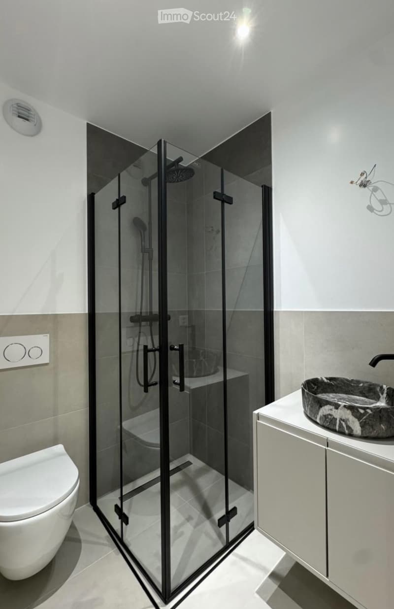 Appartement triplex haut standing totalement rénove (7)