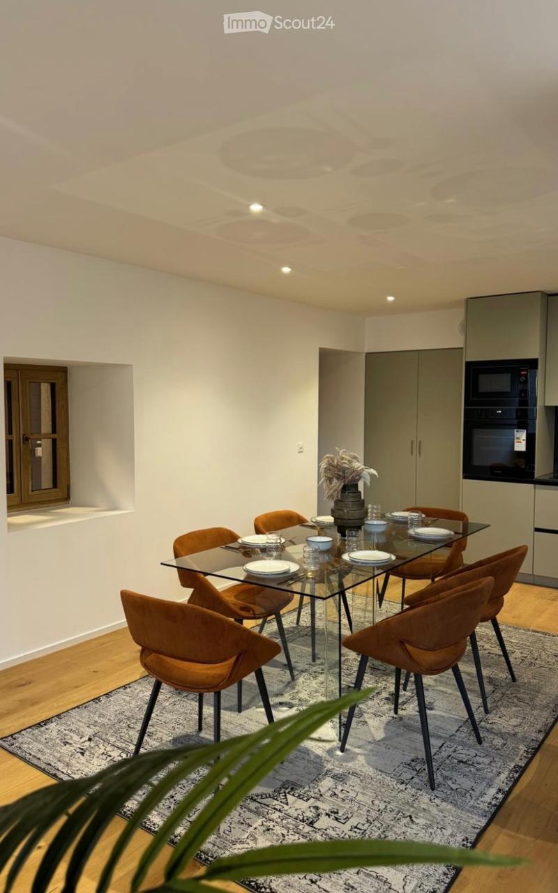 Appartement triplex haut standing totalement rénove (4)