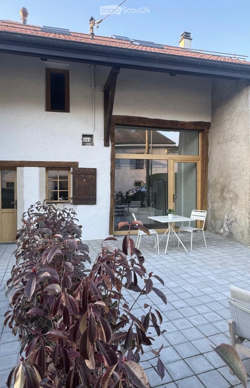 Appartement triplex haut standing totalement rénove (2)
