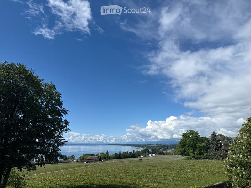 House of exceptional beauty with sublime lake view in the heart of the village (3)