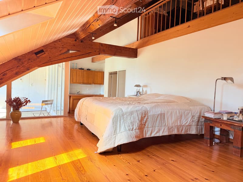 House of exceptional beauty with sublime lake view in the heart of the village (8)