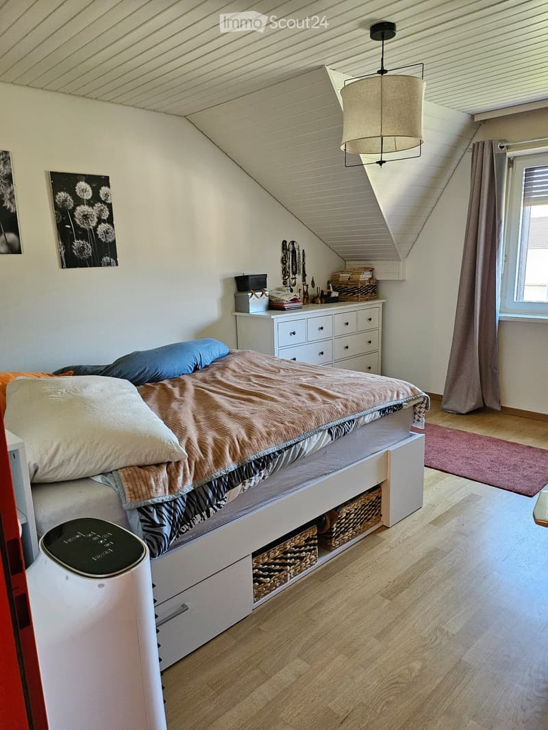 Schönes Apartment zur Miete (4)