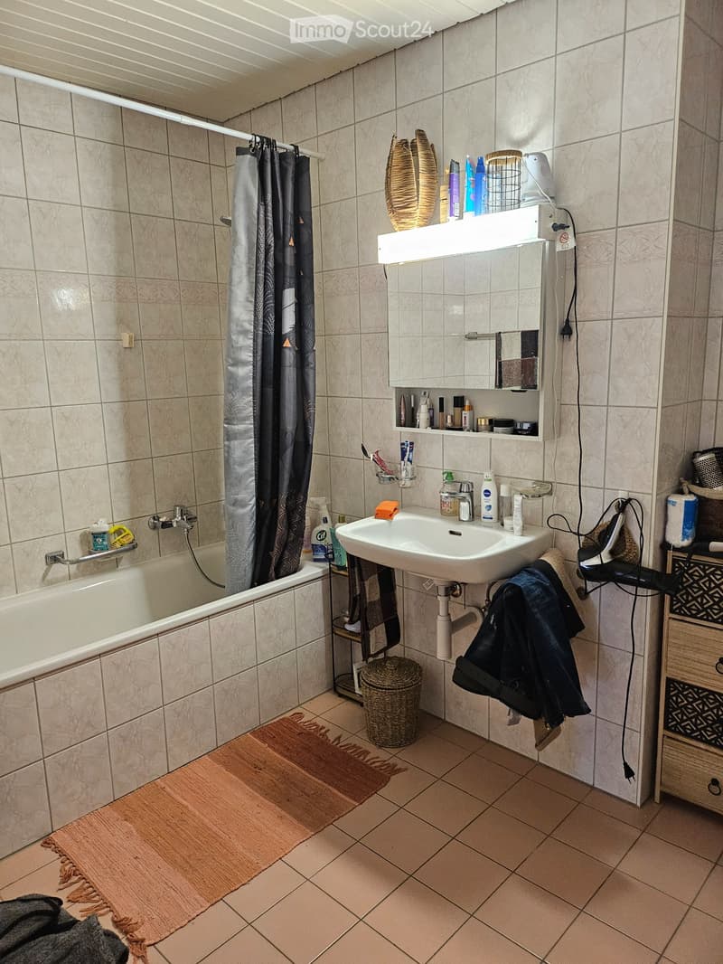 Schönes Apartment zur Miete (3)