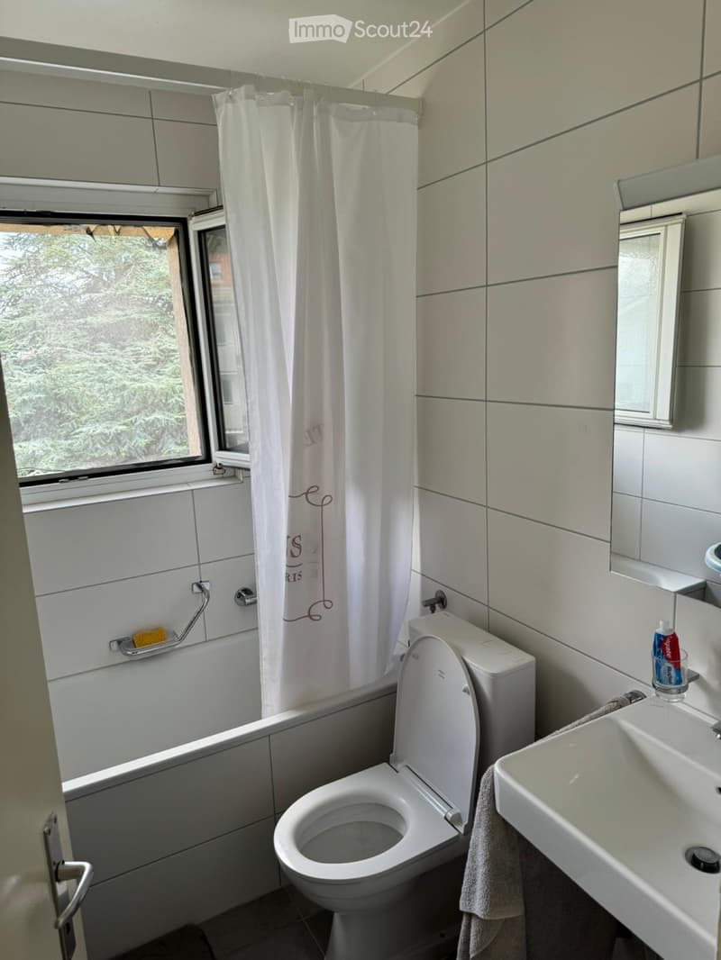 Zu vermieten 3-Zimmer-Wohnung (5)