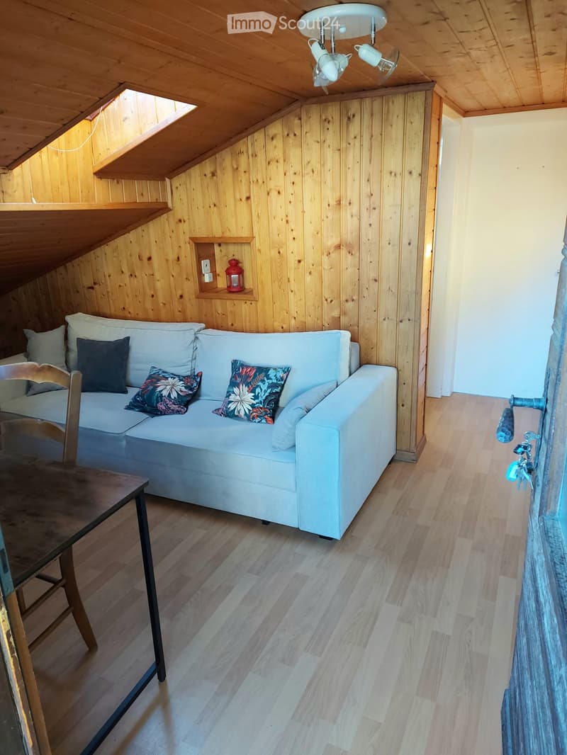 Charmantes kleines Apartment (2)