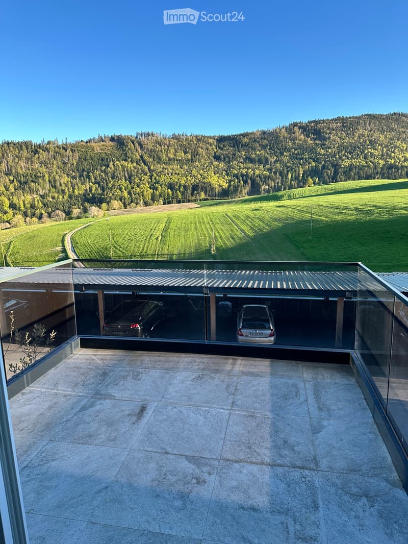 Sehr schönes Apartment 2,5 mit Terrasse (5)
