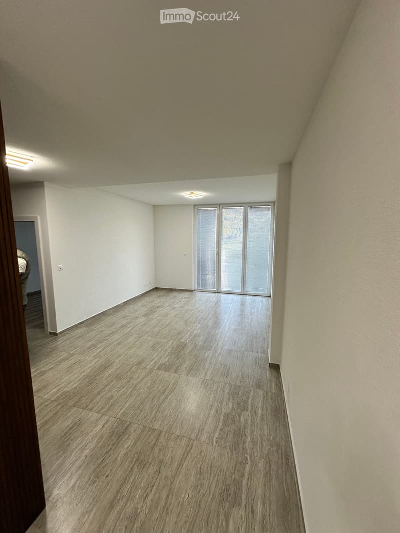 Sehr schönes Apartment 2,5 mit Terrasse (2)
