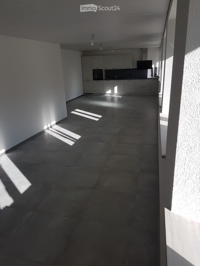 Vollständig renovierte, helle 3,5-Zimmer-Wohnung (5)