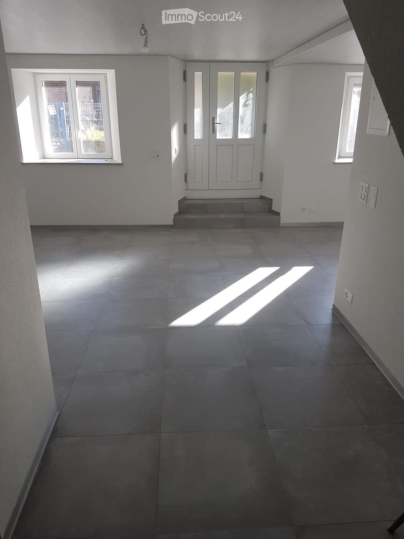 Vollständig renovierte, helle 3,5-Zimmer-Wohnung (1)