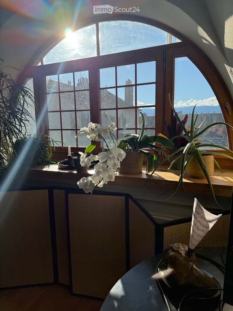 Schönes Zimmer (Wohngemeinschaft) in der Altstadt Genf (4)