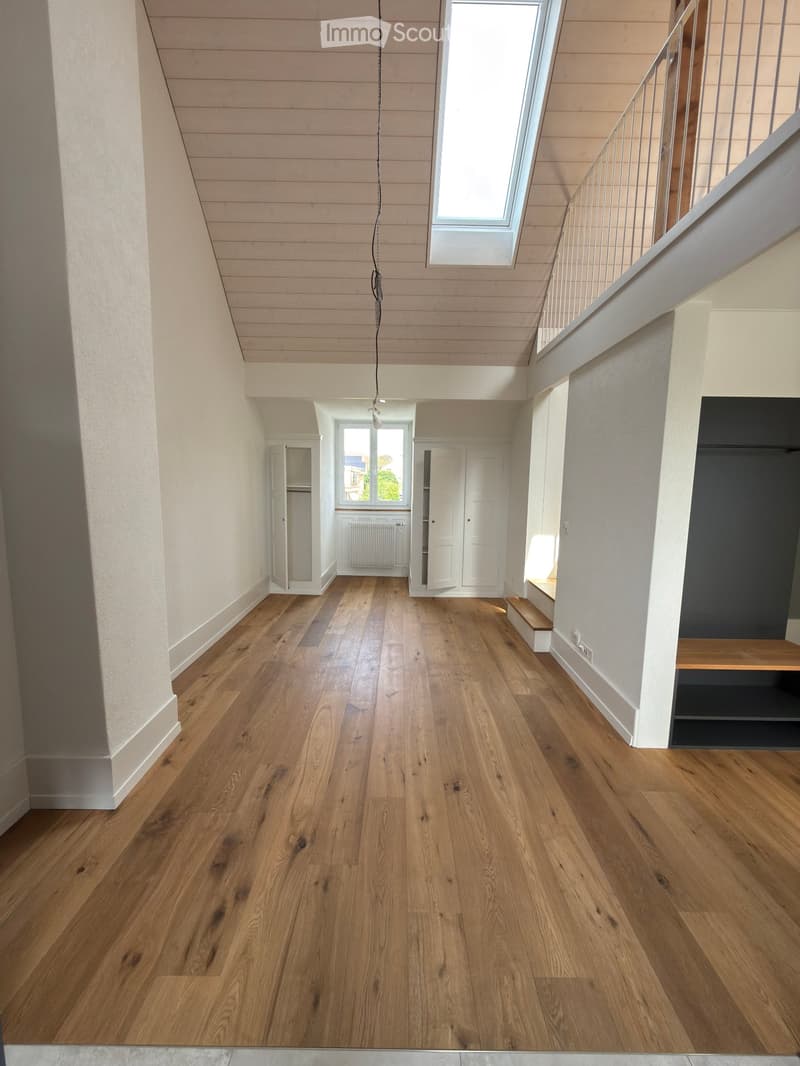 Appartement mansardé dans le quartier des Tilleuls (2)