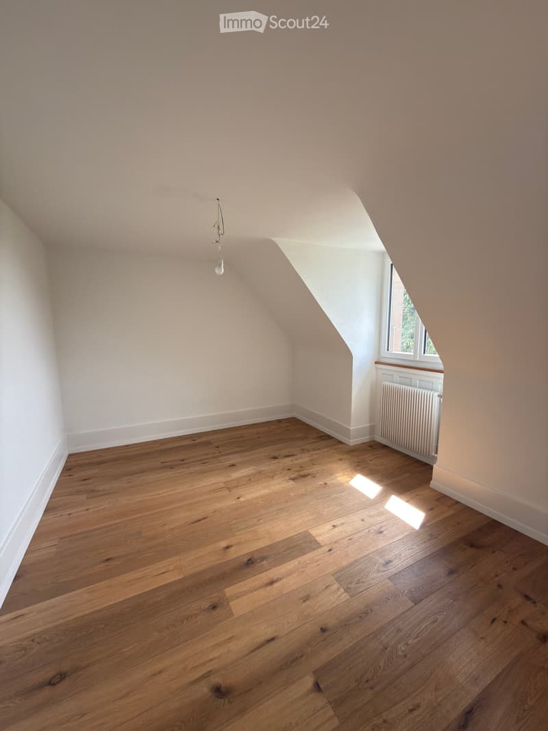 Appartement mansardé dans le quartier des Tilleuls (3)