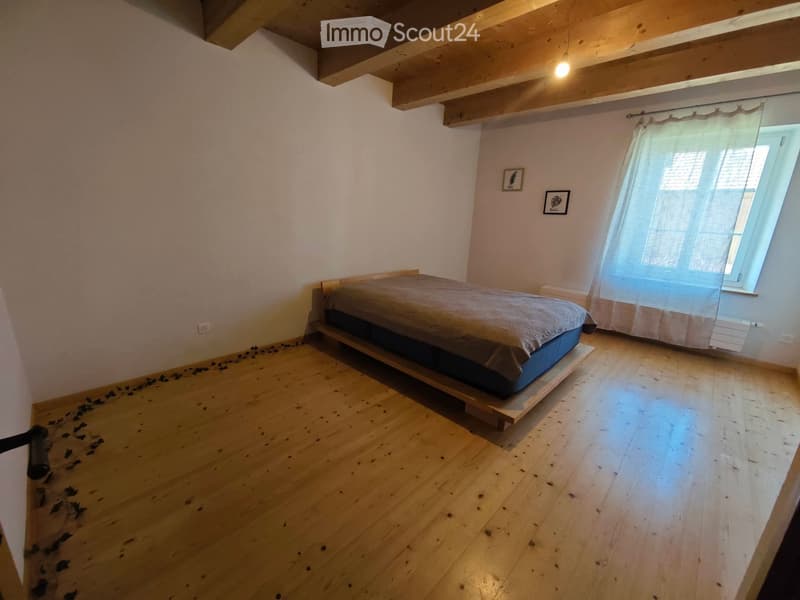 Mitbewohner in einem großen Bauernhof (3)