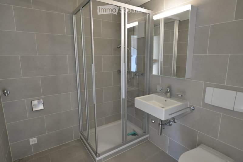 Zu vermieten in Rossens, magnifiziertes Doppelstock-Wohnung mit 6½ Zimmern (4)