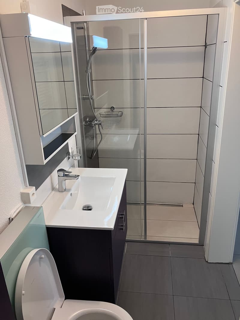 Zweizimmerwohnung in Neyruz (4)
