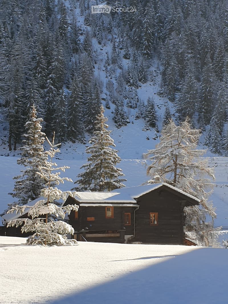 Appartement/Chalet - neben Zinal - Le Mottec (1)