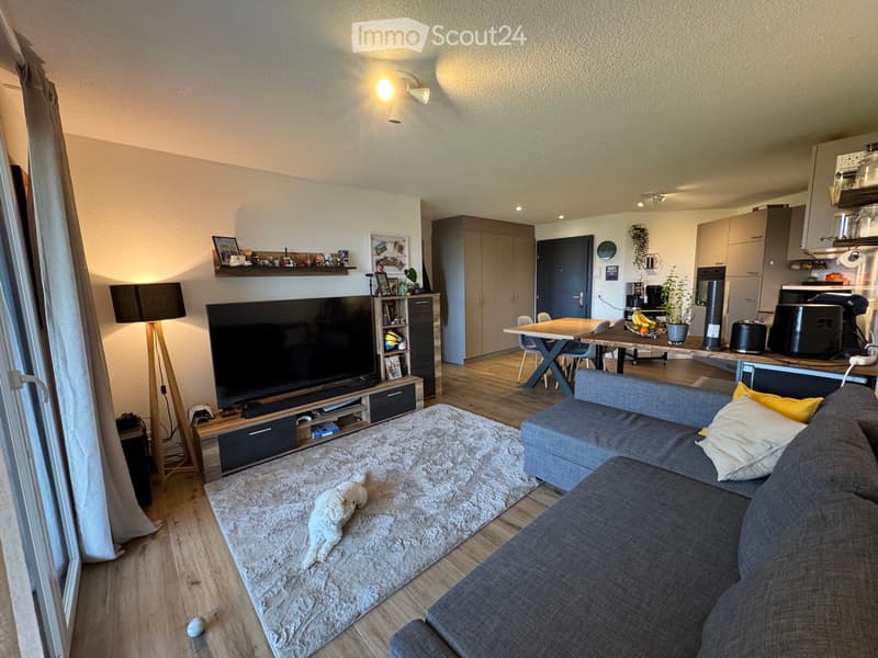 2.5 room apartment on the 2nd floor (5)