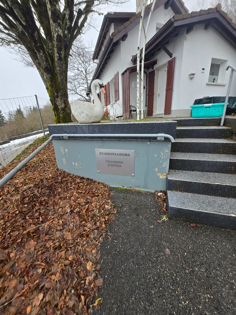 Haus mit 2 Studios und 1 Duplex, Pool, Chalet zu renovieren (2)