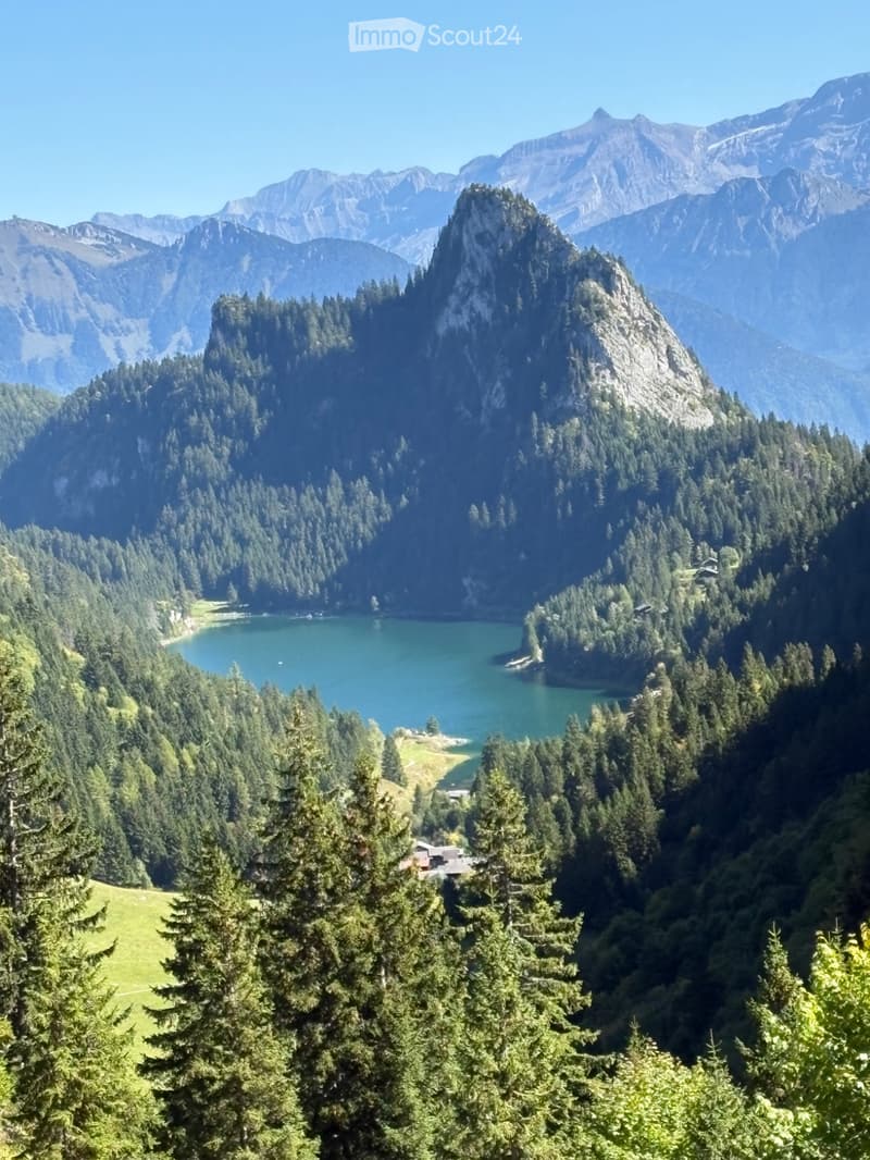 Appartement de vacances à louer au Lac de Taney (9)