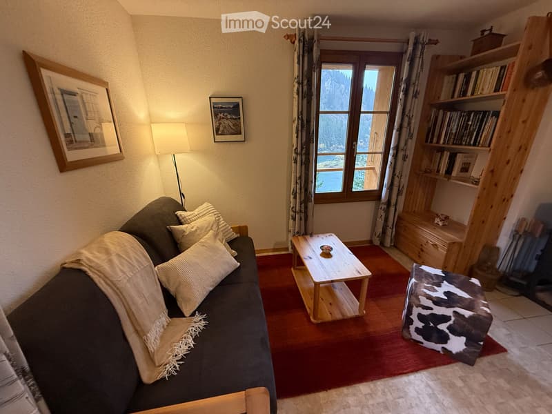 Appartement de vacances à louer au Lac de Taney (4)
