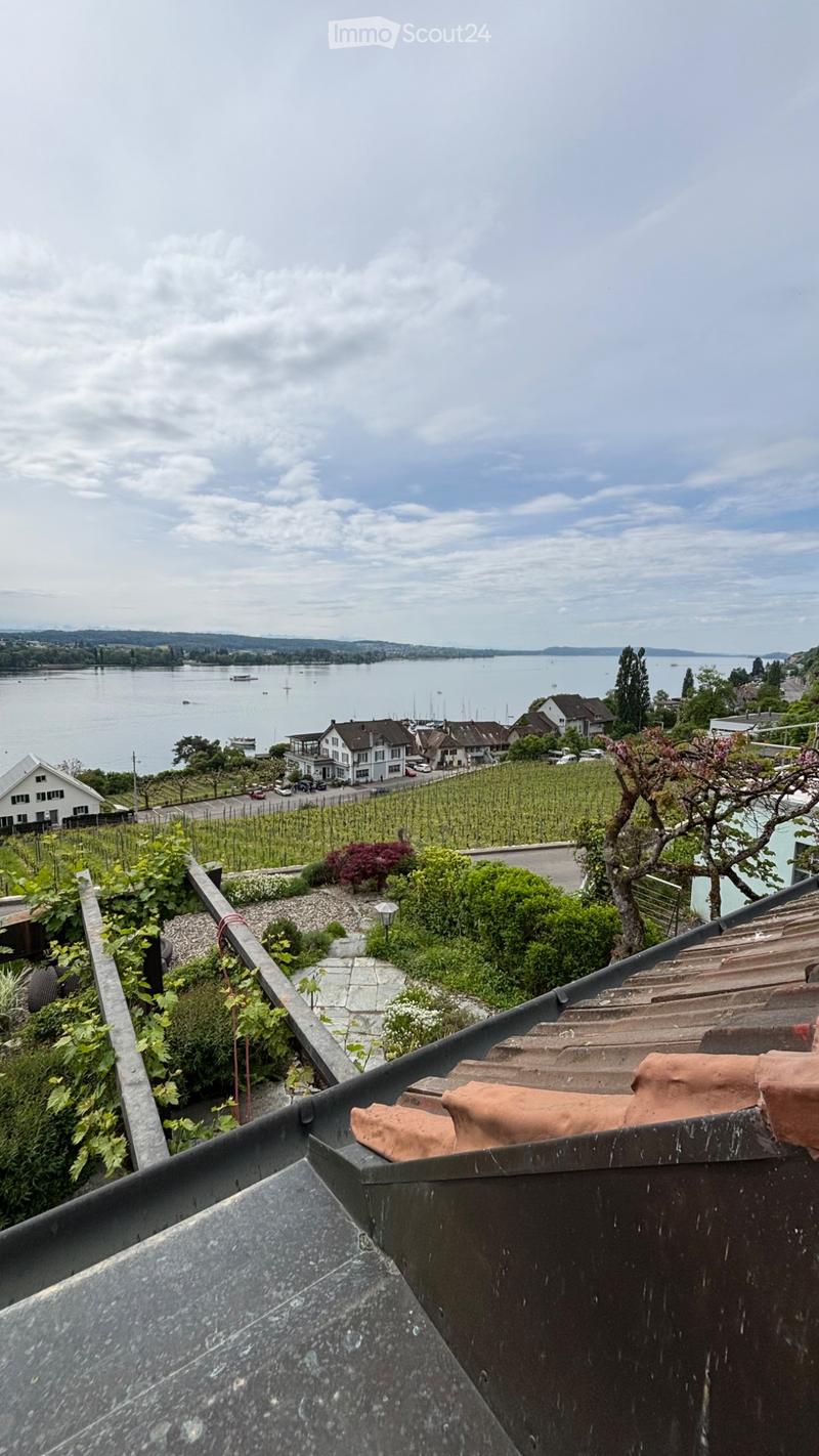 Appartamento magnifico con vista incredibile sul lago (13)