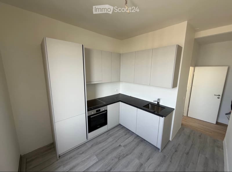 Takeover of Lease for a Completely Renovated Apartment in Chernex (1)