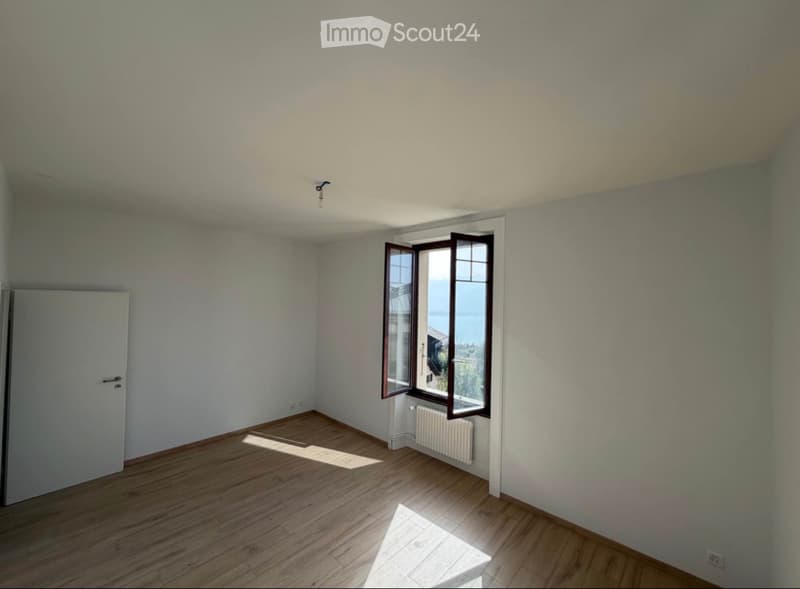 Takeover of Lease for a Completely Renovated Apartment in Chernex (4)