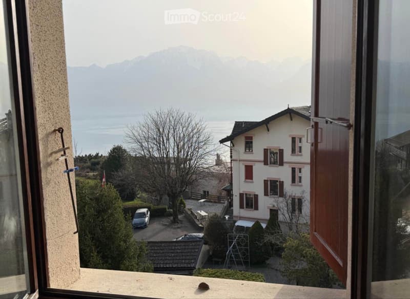 Takeover of Lease for a Completely Renovated Apartment in Chernex (2)