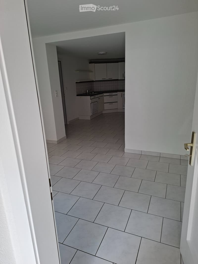 Beautifully renovated apartment in the city center (5)