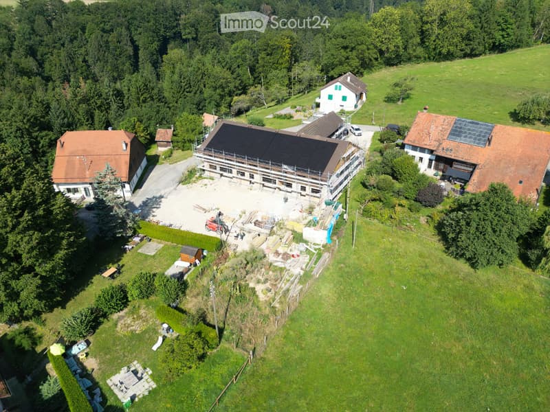 Case a schiera in un ambiente verde (4)