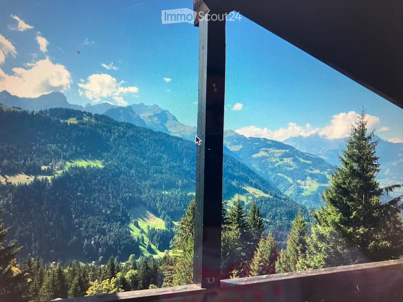Zu vermieten möbliert für ein Jahr (1)